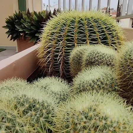 San Felipe Penthouse Apartment